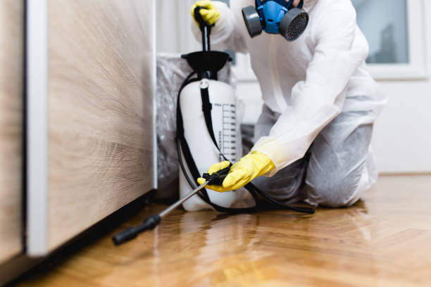 Best Emergency Pest Control  in Madill, OK