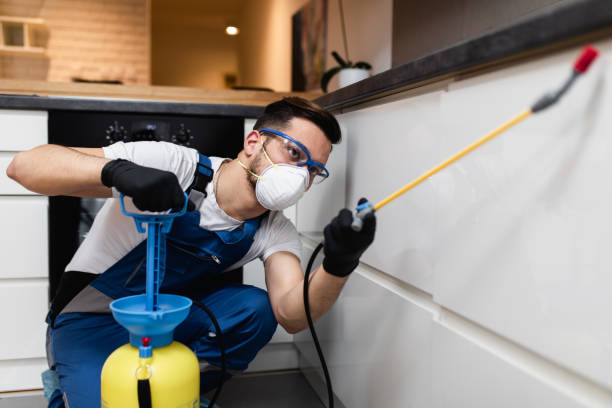 Best Ant Control Services  in Madill, OK