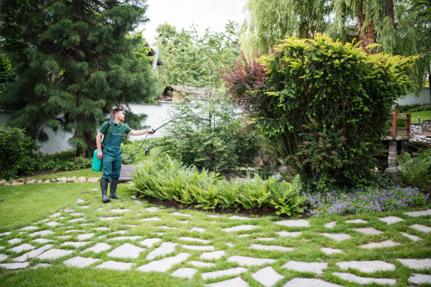 Best Residential Pest Control  in Madill, OK