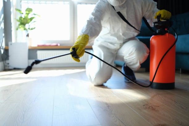 Trusted Madill, OK Pest Control Experts