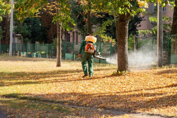 Best Pest Removal Services  in Madill, OK