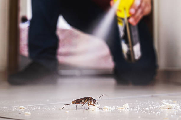 Best Commercial Pest Control Services  in Madill, OK