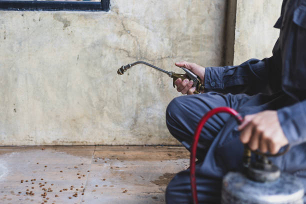 Best Best Pest Control Companies  in Madill, OK